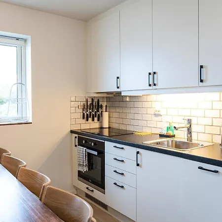 New Akrahamn Coast House Apartment *