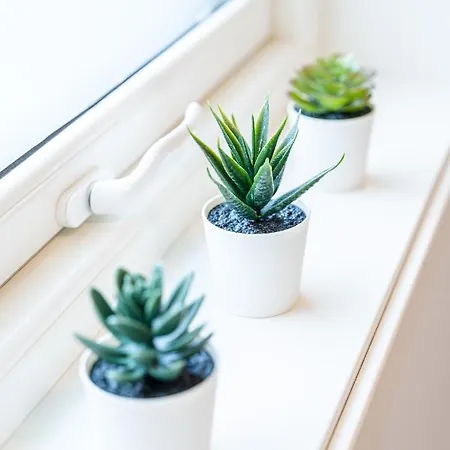 New Akrahamn Coast House Sæveland